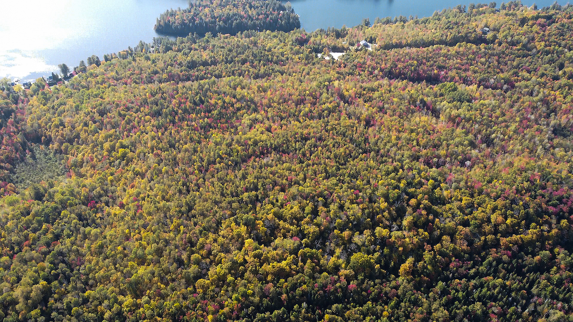 Grand terrain à Vendre ste-béatrix